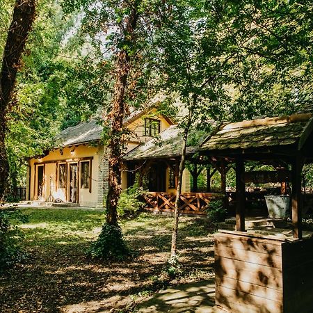 Forest House Palić Esterno foto