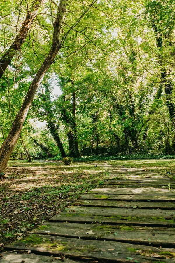 Forest House Palić Esterno foto