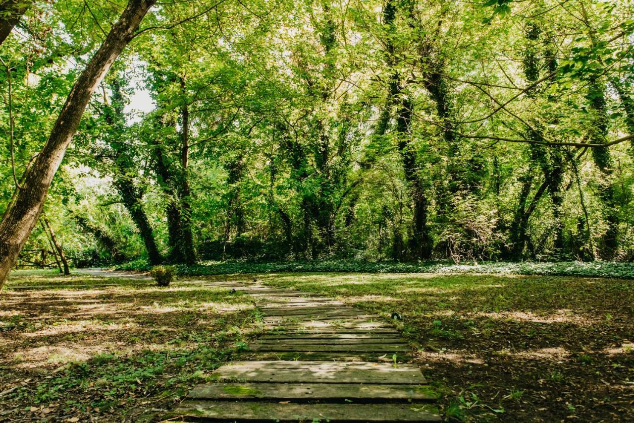 Forest House Palić Esterno foto