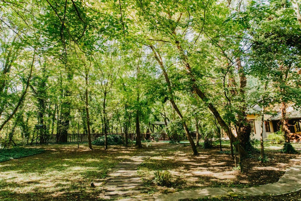 Forest House Palić Esterno foto