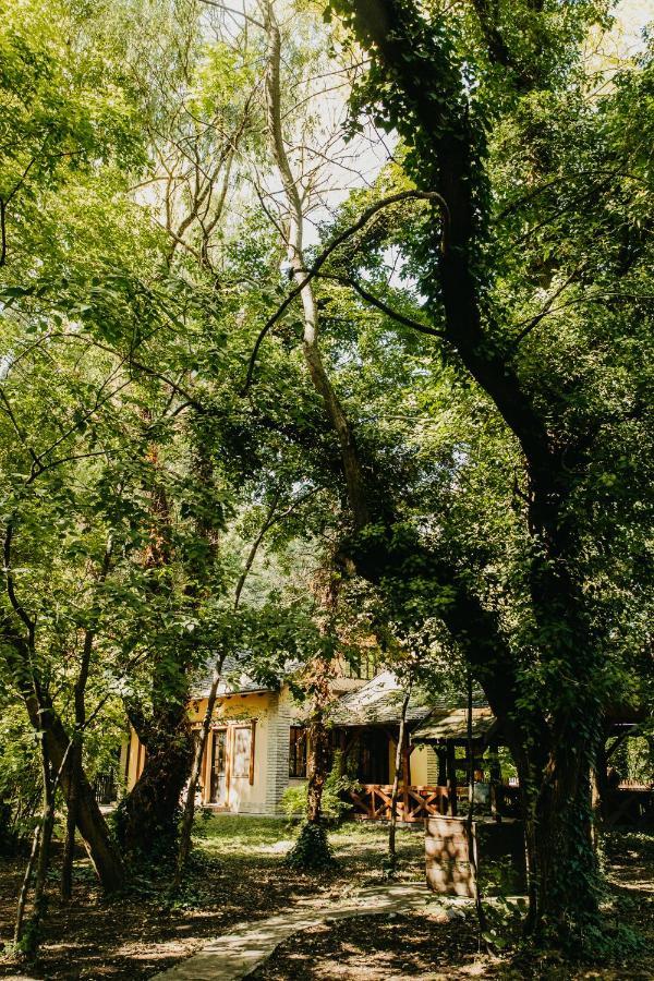 Forest House Palić Esterno foto