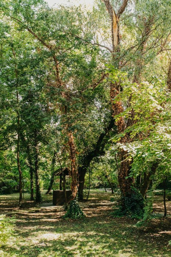 Forest House Palić Esterno foto